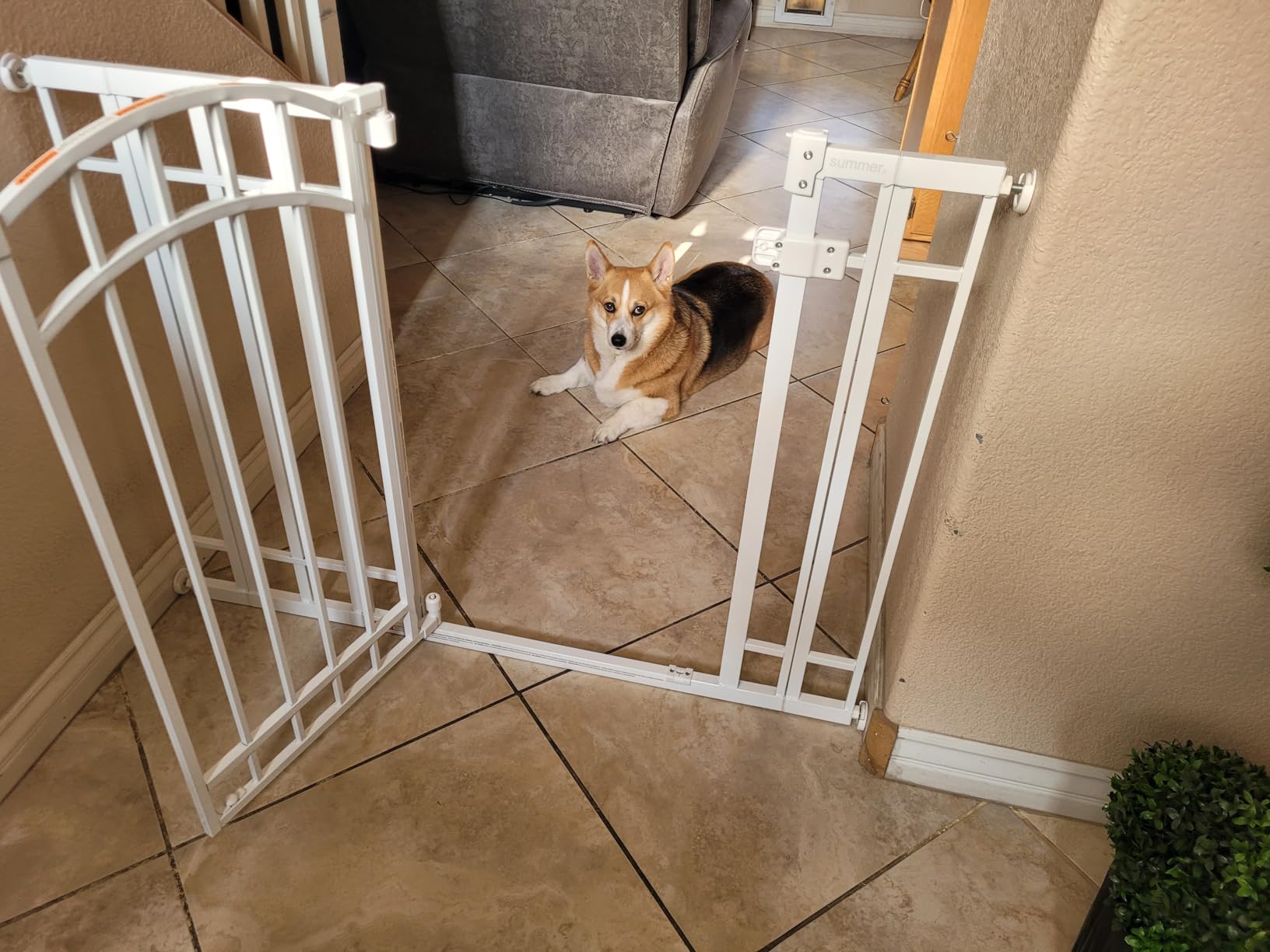 Ingenuity Extra Tall & Wide Safety Pet and Baby Gate, 29.5