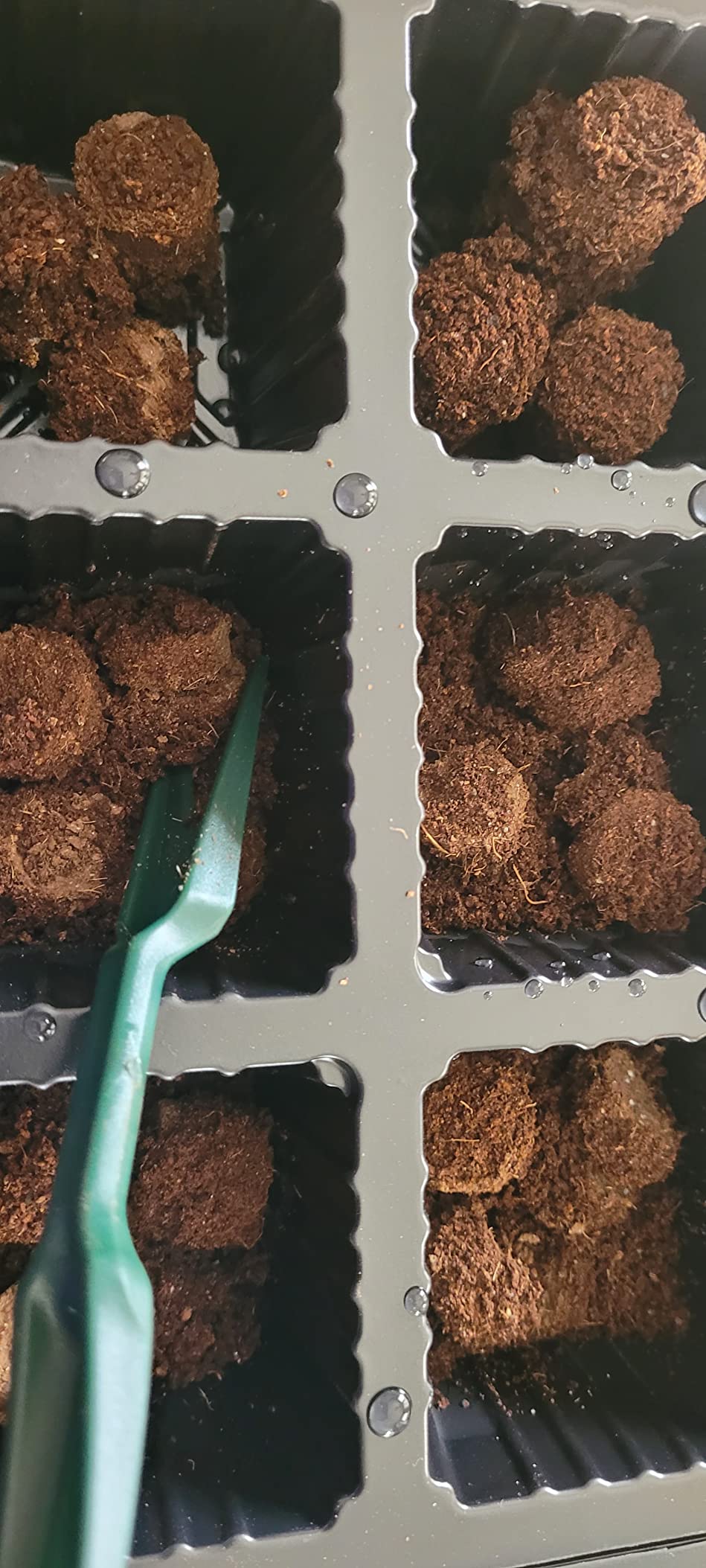 WONDER SOIL | 100 Organic Seed Starter Pellets | Ready to Plant Seed Starting Soil Loaded with Pre-Mixed Nutrients | Fast Germination | Indoor or Outdoor | 100 Count customer photo 2