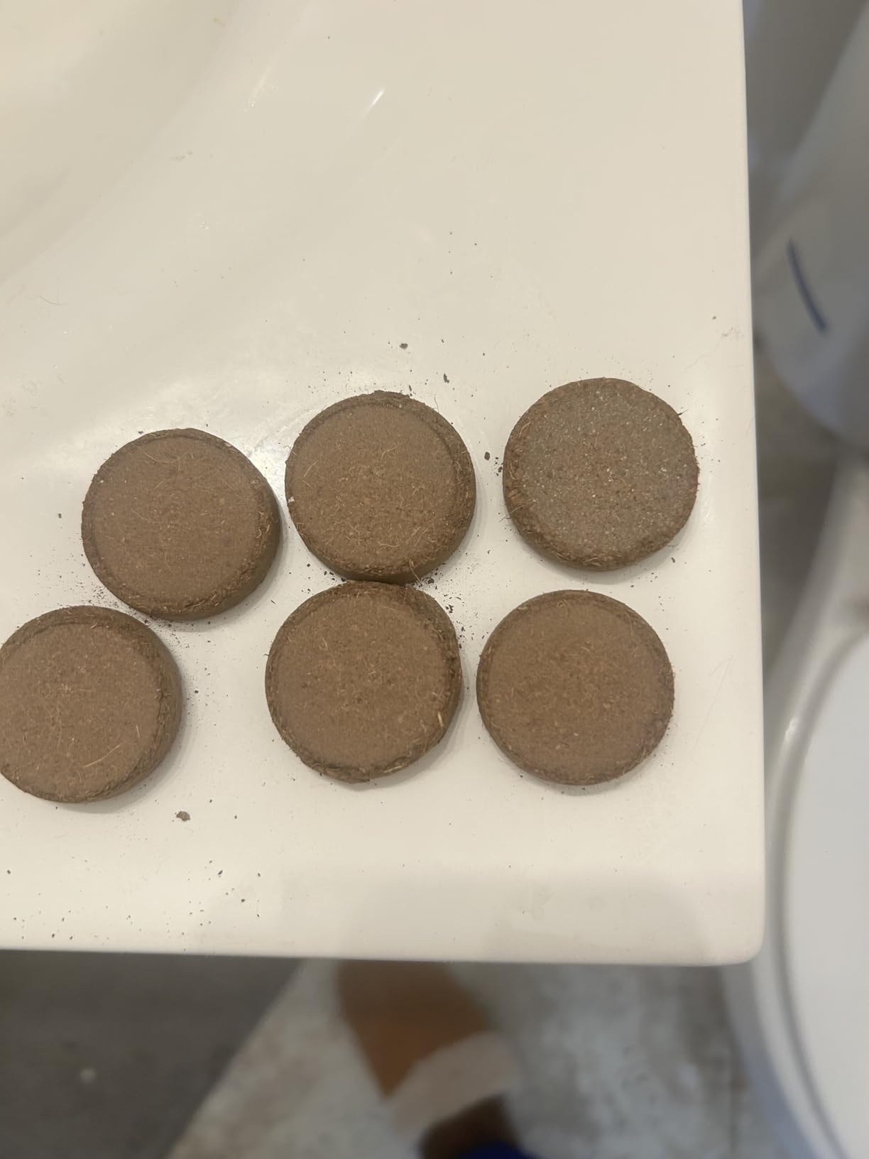 ZeeDix Coco Coir Pellets, 50 Pcs 30mm Seed Starter Soil Pods for Planting customer photo 1