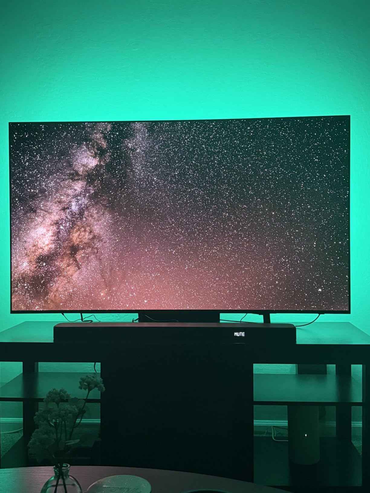 Govee TV LED Backlight, RGBIC Smart LED Strip Lights for 55-65 inch TVs customer photo 1