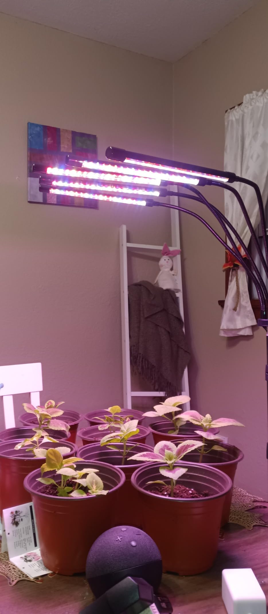 Wolezek Grow Lights for Indoor Plants with Stand, Red Blue Full Spectrum customer photo 1