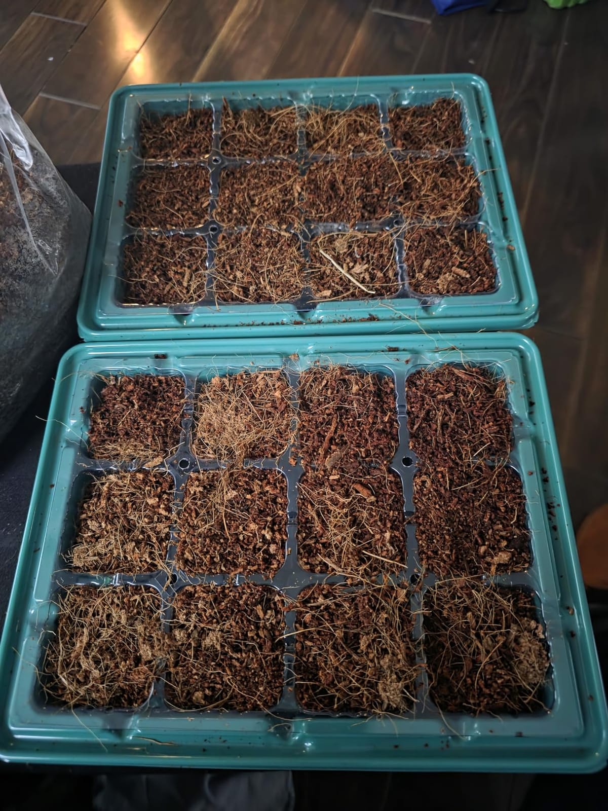 Back to The Roots Organic Seed Starting, Compressed Block expands to 12 Quarts, Made for Herbs, Veggies, Flowers customer photo 2
