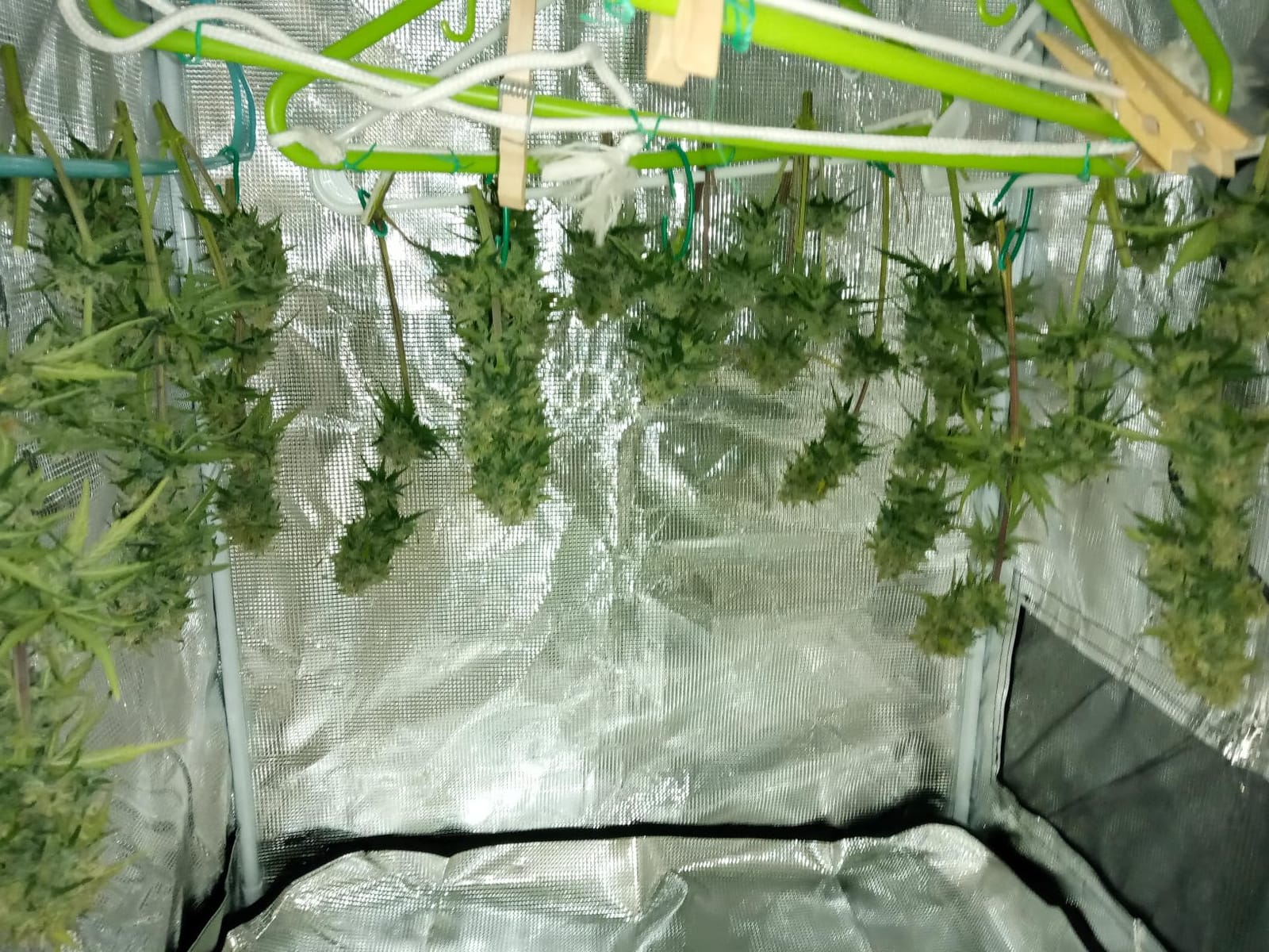 4x2 Grow Tent, 48