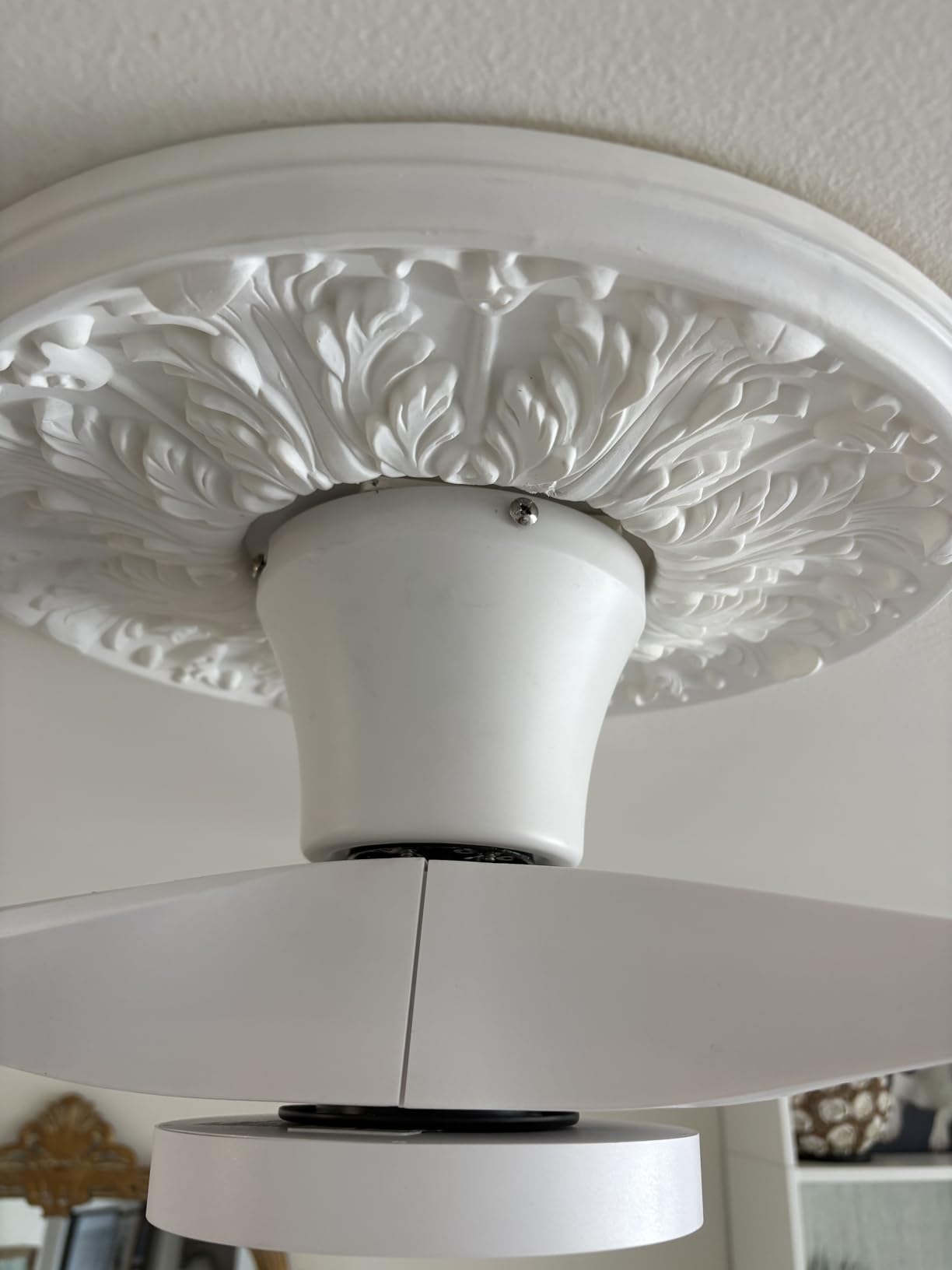 TALOYA 52 inch Smart Ceiling Fan,Low Profile Ceiling Fan with Light and Remote/App Control,Flush Mount, Quiet Reversible Motor for Living Room Bedroom Patio White customer photo 1