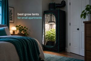 best grow tents for small apartments