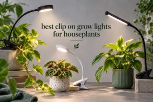 best clip on grow lights for houseplants